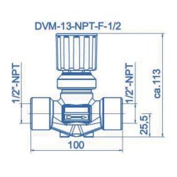 Membran afsprringsventil, 6.0 gas 1/2" NPTF